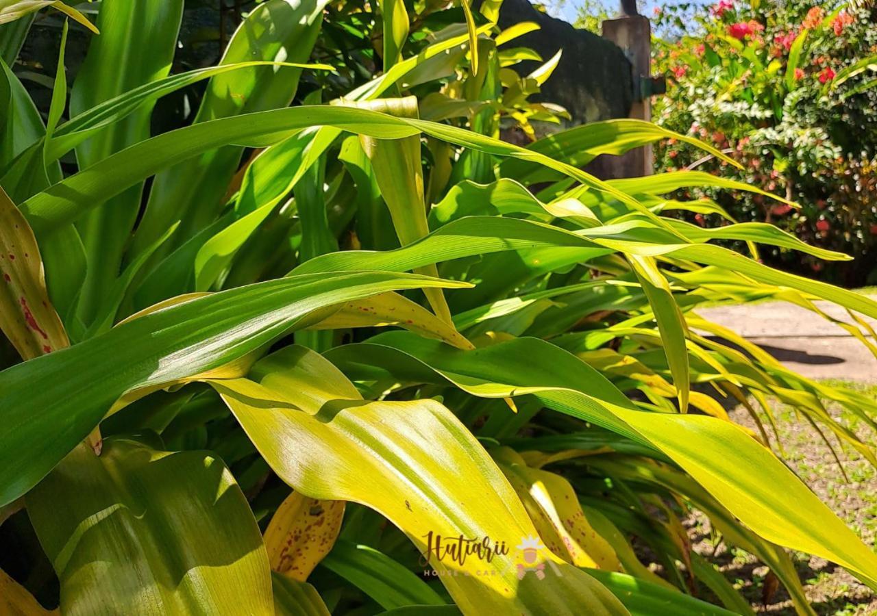 Вилла Hutiarii House & Car & Excursions Raiatea Tevaitoa Экстерьер фото