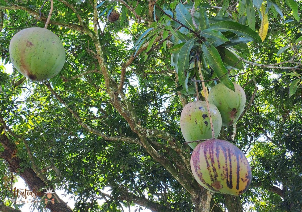 Вилла Hutiarii House & Car & Excursions Raiatea Tevaitoa Экстерьер фото